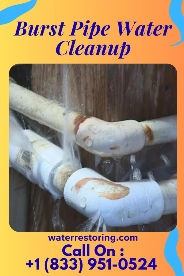 Burst Pipe Water Cleanup in Belmore, OH