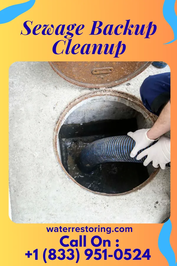 Sewage Backup Cleanup in Belmore, OH