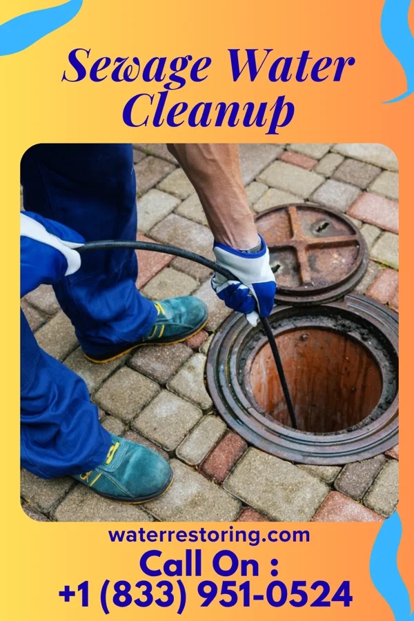 Sewage Water Cleanup in Belmore, OH