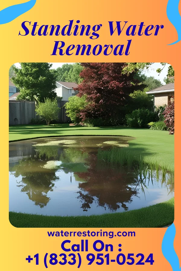 Standing Water Removal in Belmore, OH